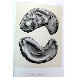 Reports of the Princeton University expeditions to Patagonia